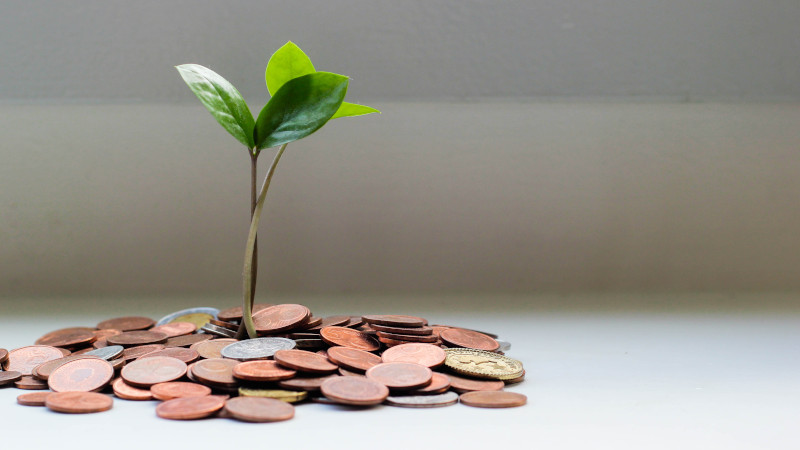 pile of money with plant sprouting